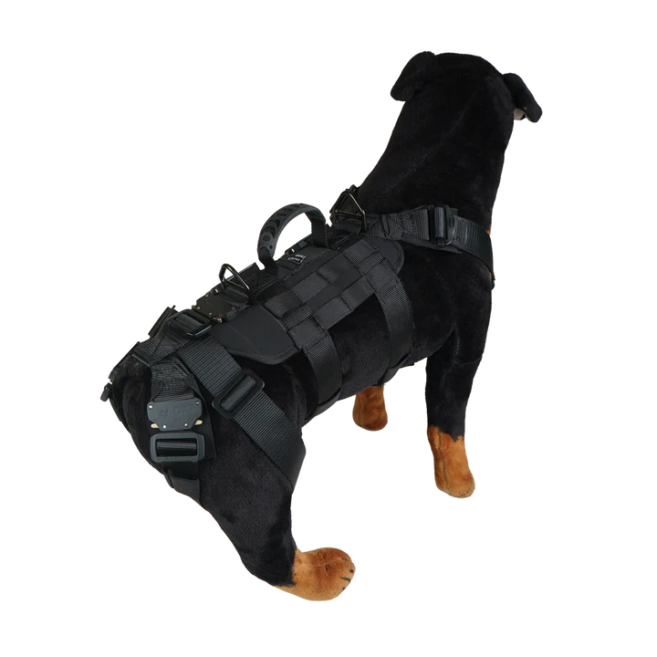 K9 Titan™ Heavy Duty Tactical Rappel Harness FUSION CLIMBING