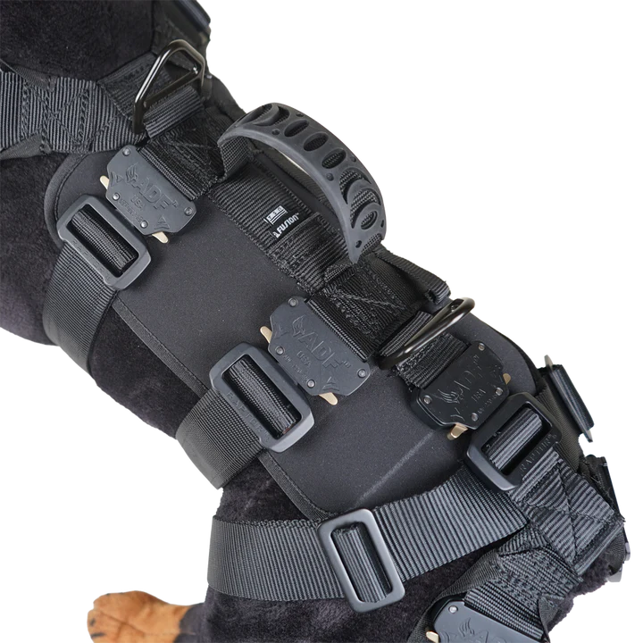 K9 Titan™ Heavy Duty Tactical Rappel Harness FUSION CLIMBING