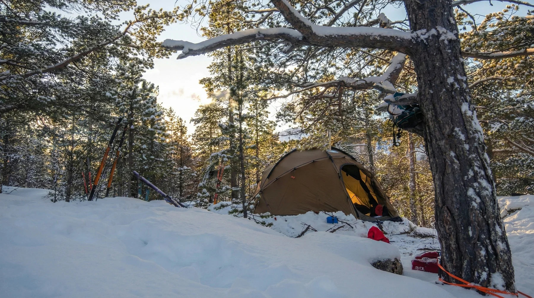 NORTENT Gamme 8 NYLON FairD Canada