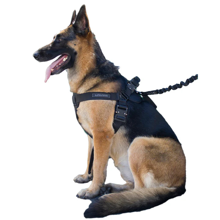 K9 Trekker MIL-SPEC Nylon Dog Harness – 5,000 lb FUSION CLIMBING
