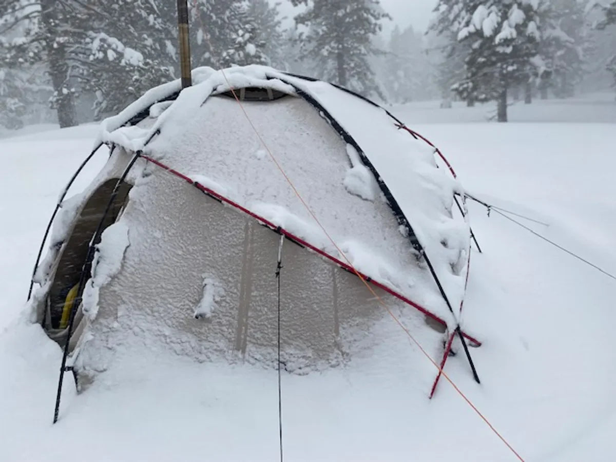 NORTENT Gamme 8 NYLON FairD Canada