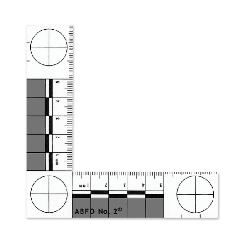 Crime scene documentation and forensic scales