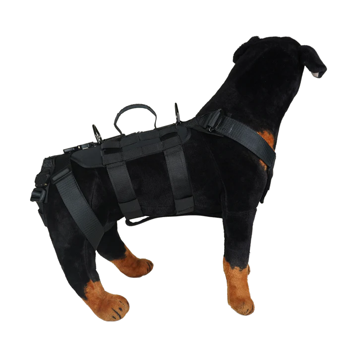 K9 Titan™ Heavy Duty Tactical Rappel Harness FUSION CLIMBING