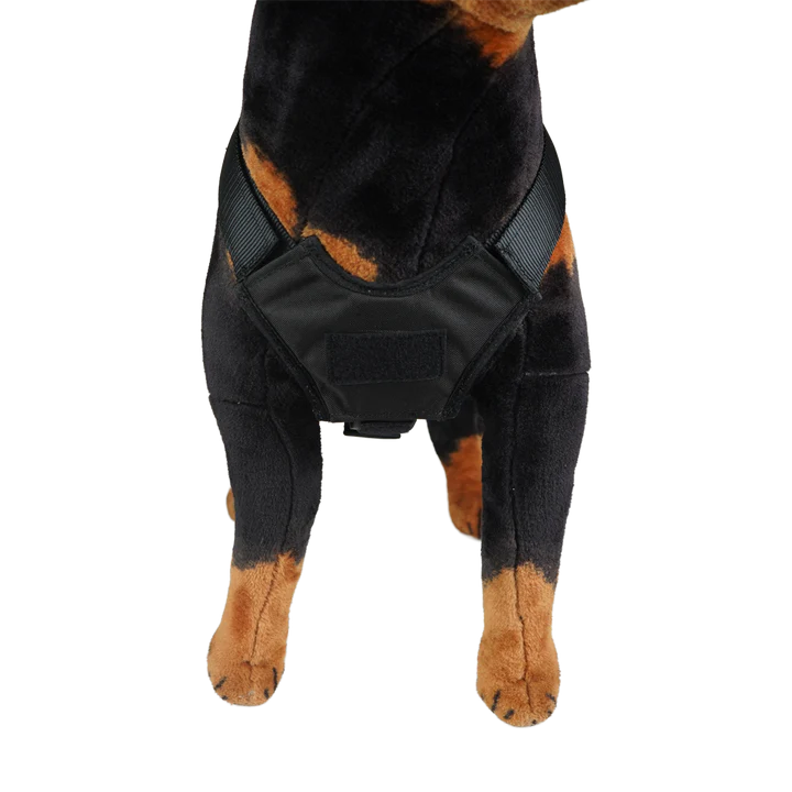 K9 Titan™ Heavy Duty Tactical Rappel Harness FUSION CLIMBING