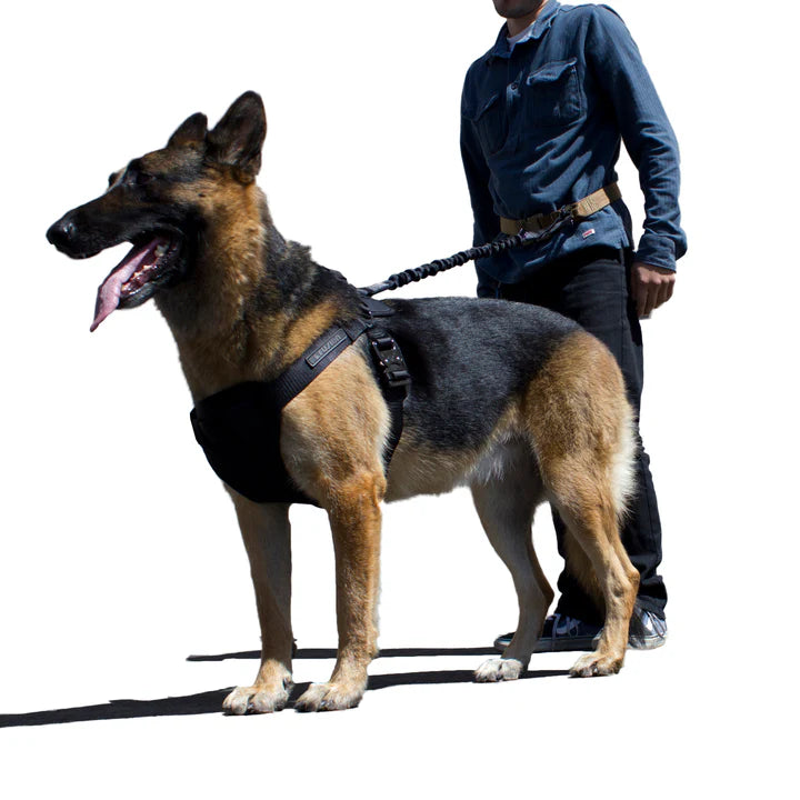K9 Trekker MIL-SPEC Nylon Dog Harness – 5,000 lb FUSION CLIMBING