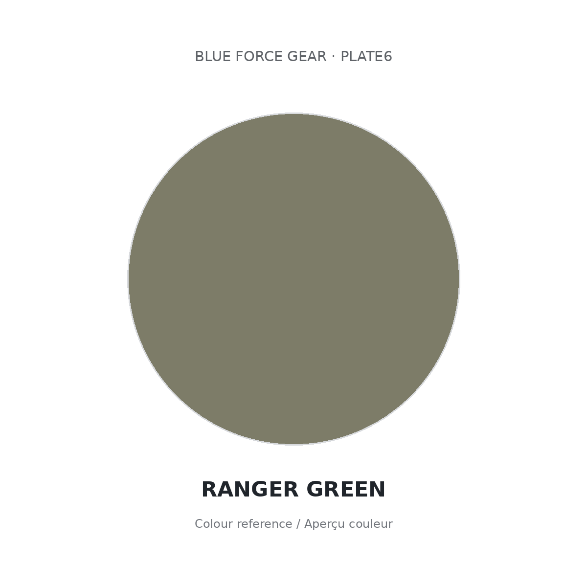 Blue Force Gear PLATE6 Ranger Green colour swatch — approximate colour reference